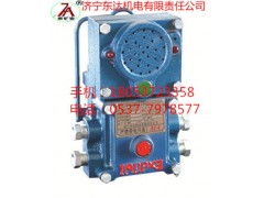 矿用通讯声光信号器图2