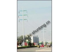 直线杆，转角杆，耐张杆，终端杆，霸州市金属钢杆厂图2