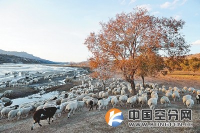 AUS进行氢动力无人机飞行测试