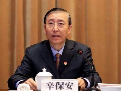 国家电网董事长辛保安：力争2030年将抽水蓄能与电化学储能装机皆提高至1亿千瓦