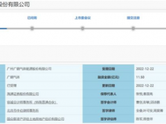 广钢气体冲刺科创板IPO获受理，拟募资11.5亿元