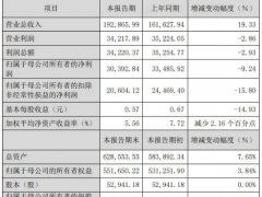 中船特气2024年营收19.29亿元，同比增长19.33%